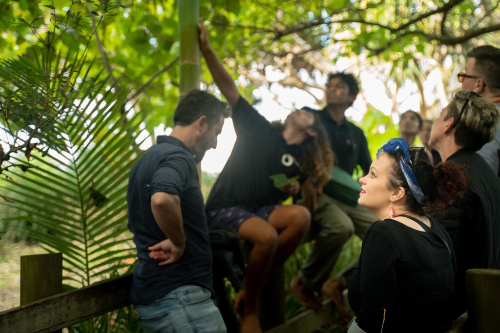 banaam alliance on country cultural experiene with group on gold coast