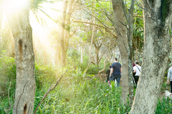 banaam alliance on country cultural experiene with group on gold coast bushland
