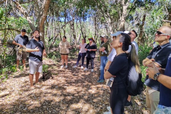 banaam alliance on country cultural experiene with group on gold coast bushland