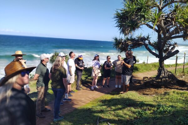 banaam alliance on country cultural experience with group on gold coast ocean near fingal heads