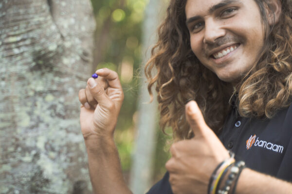 banaam alliance on country cultural experiene with group on gold coast bushland